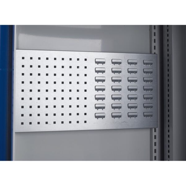 Multi-Storage Cupboard Dual Panel (Tool and Louvre)